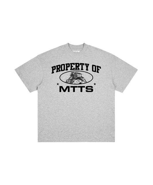 PROPERTY OF MTTS TEE / GREY
