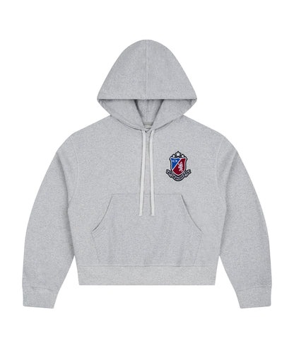 SUPERIOR RY LOGO HOODIE / GREY