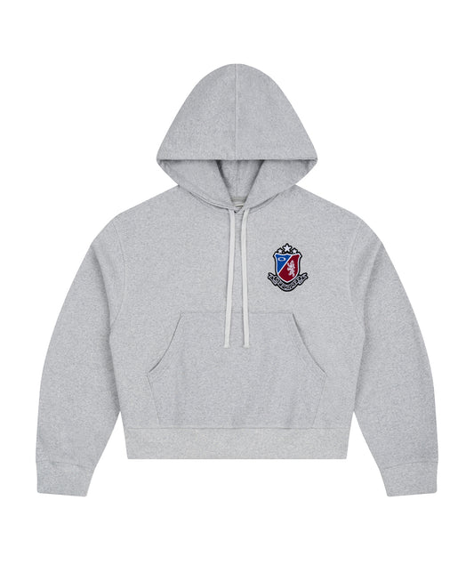 SUPERIOR RY LOGO HOODIE / GREY