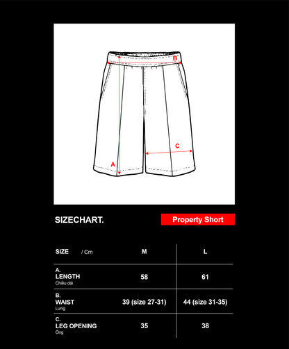 PROPERTY OF MTTS SHORT / GREY